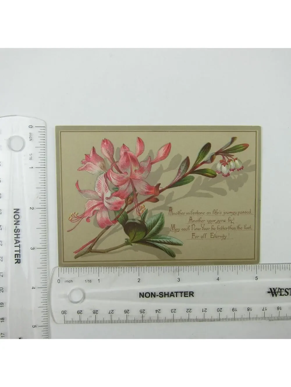 Victorian Greeting Card New Years White & Pink Azalea Flowers Branch Antique